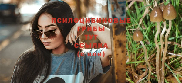 скорость Верхний Тагил