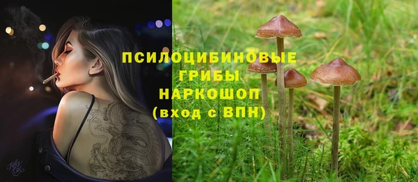 скорость Верхний Тагил